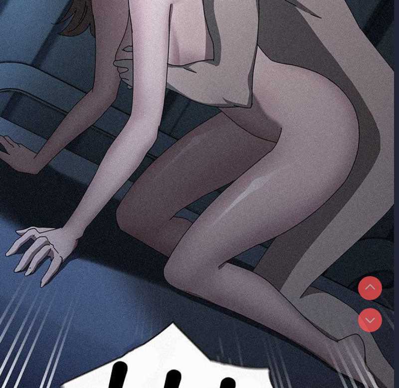 我家的赘婿大人