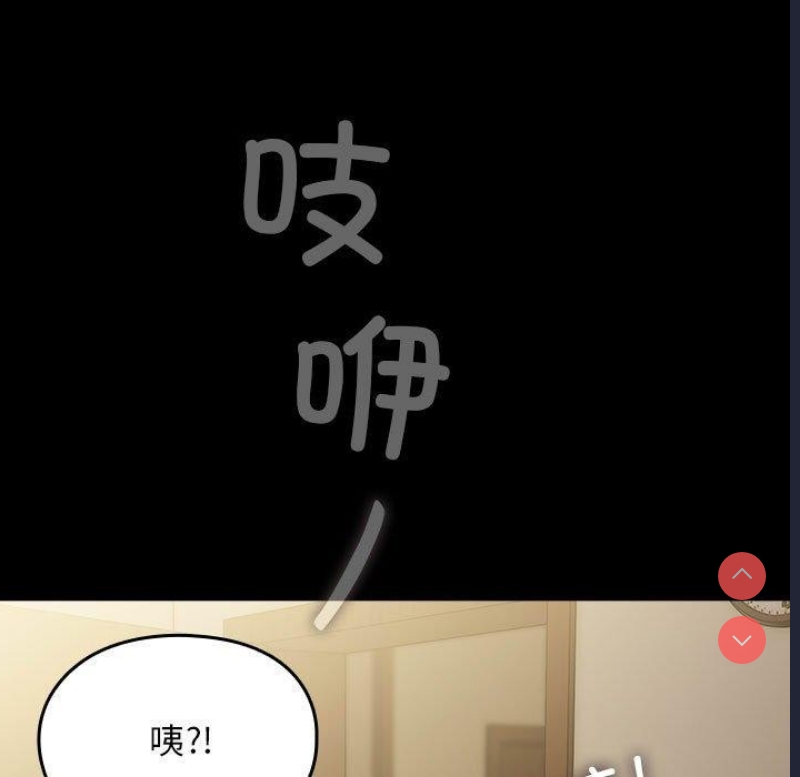 我家的赘婿大人