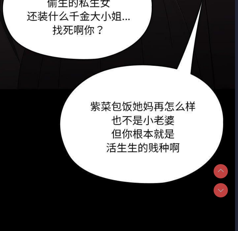 我家的赘婿大人