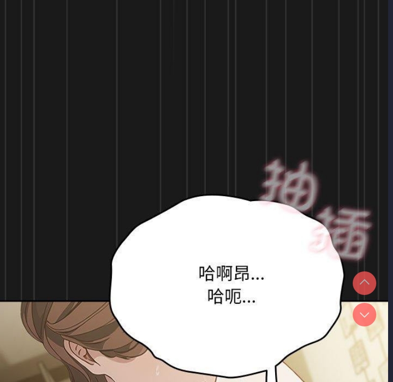 我家的赘婿大人
