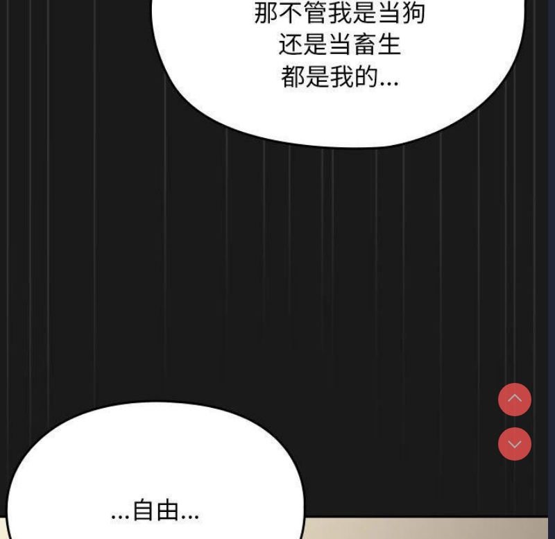 我家的赘婿大人