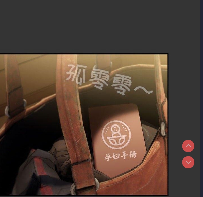 我家的赘婿大人