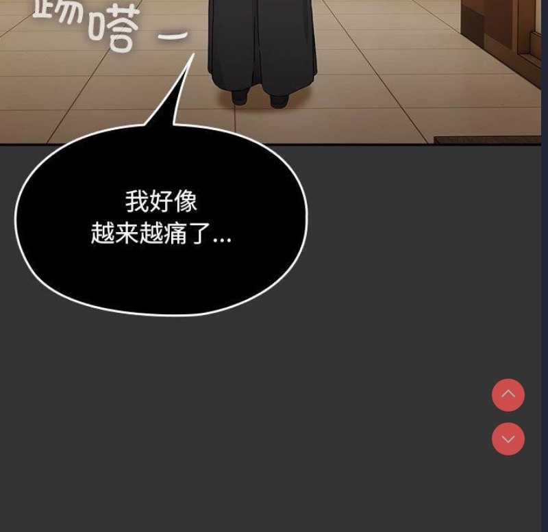 我家的赘婿大人