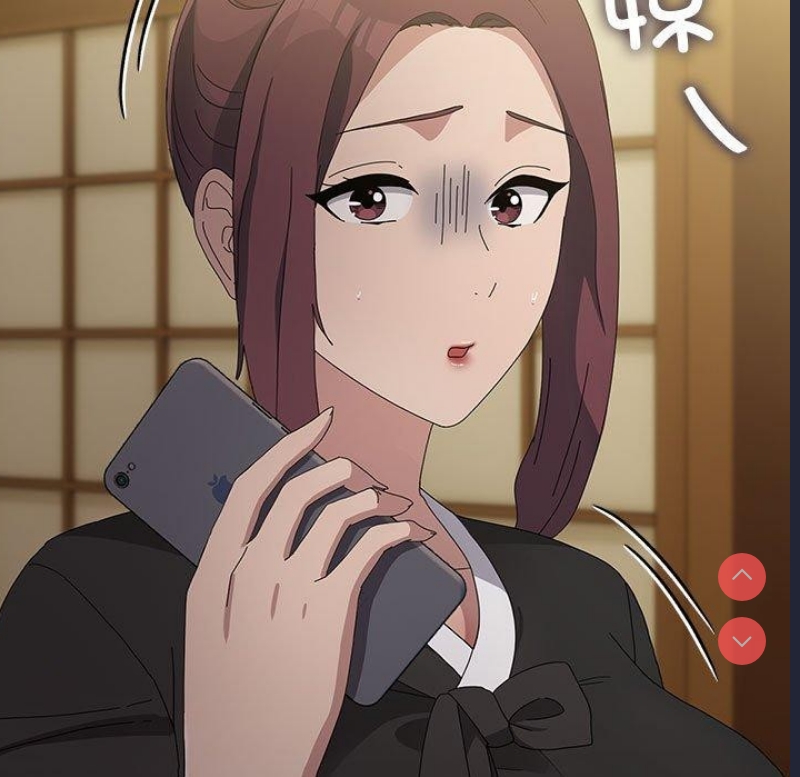 我家的赘婿大人