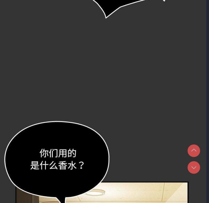 我家的赘婿大人