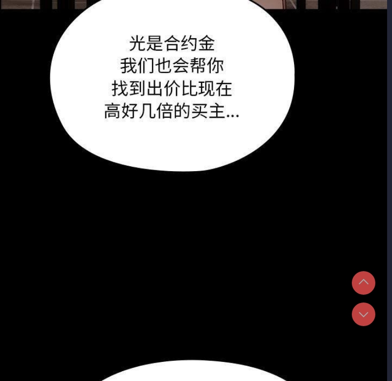 我家的赘婿大人