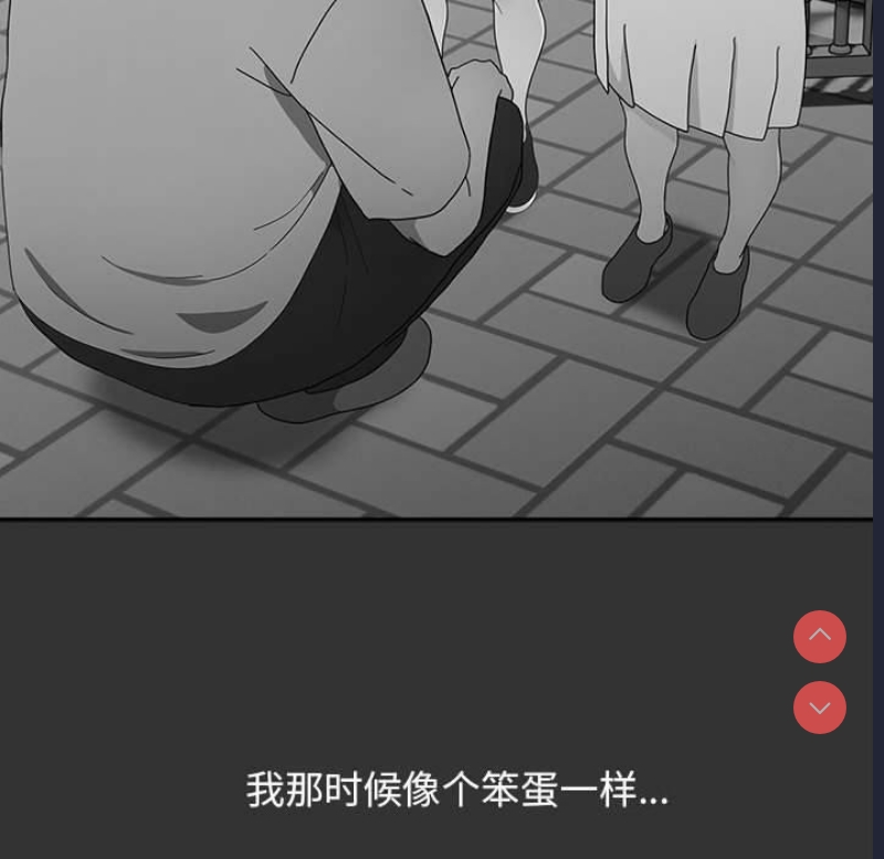 我家的赘婿大人