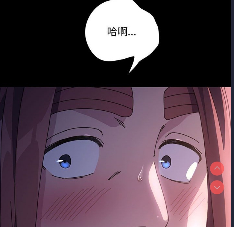 我家的赘婿大人