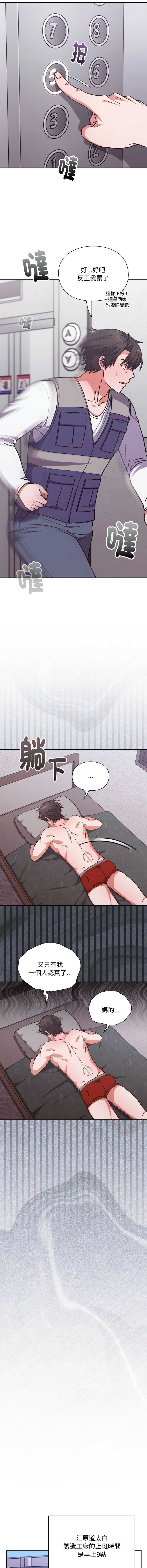 扑通扑通终极密码