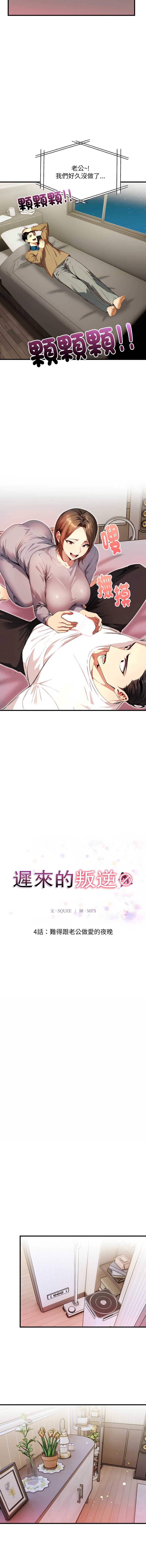 迟来的叛逆