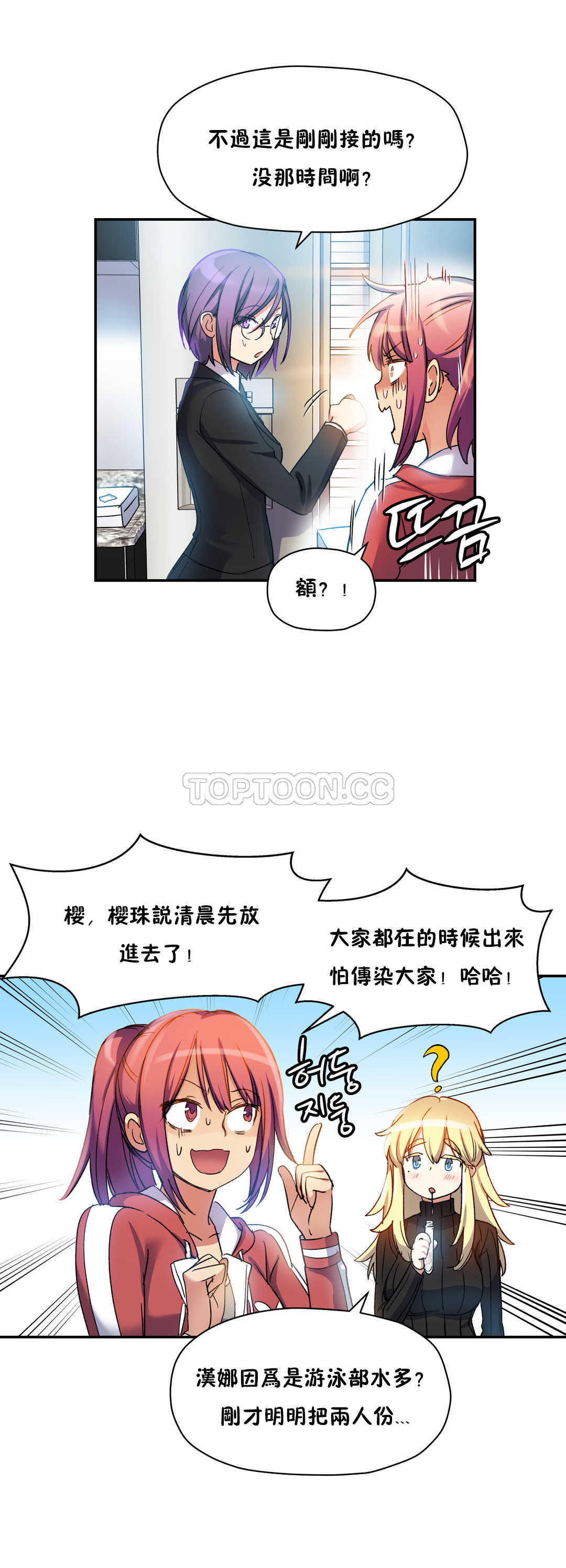 初恋豚鼠