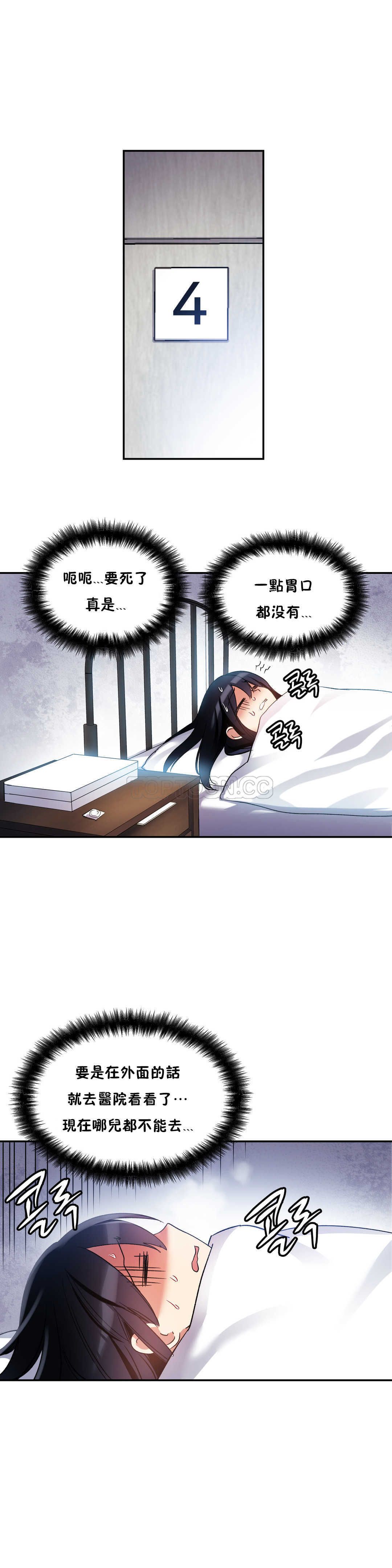 初恋豚鼠