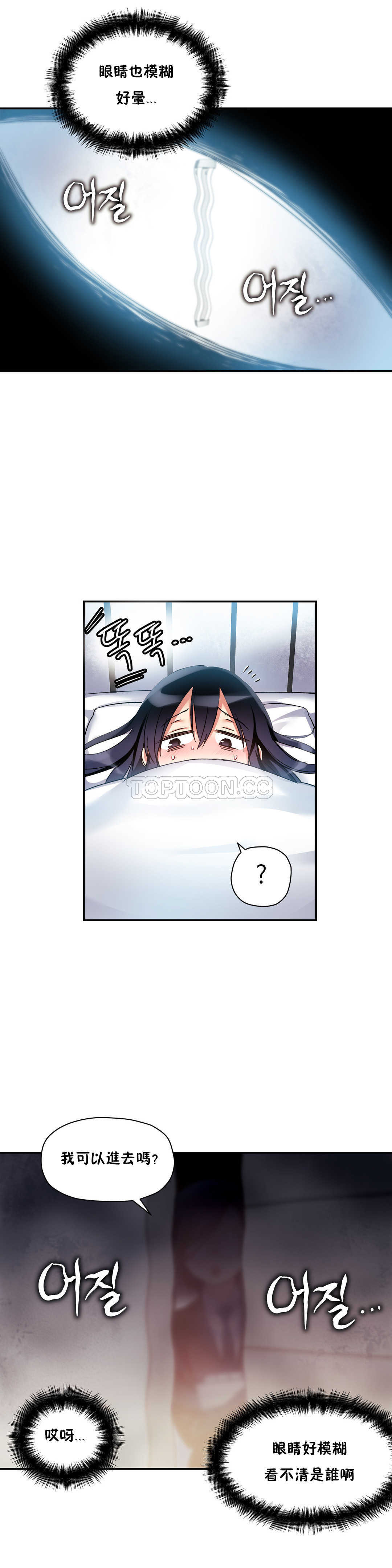 初恋豚鼠