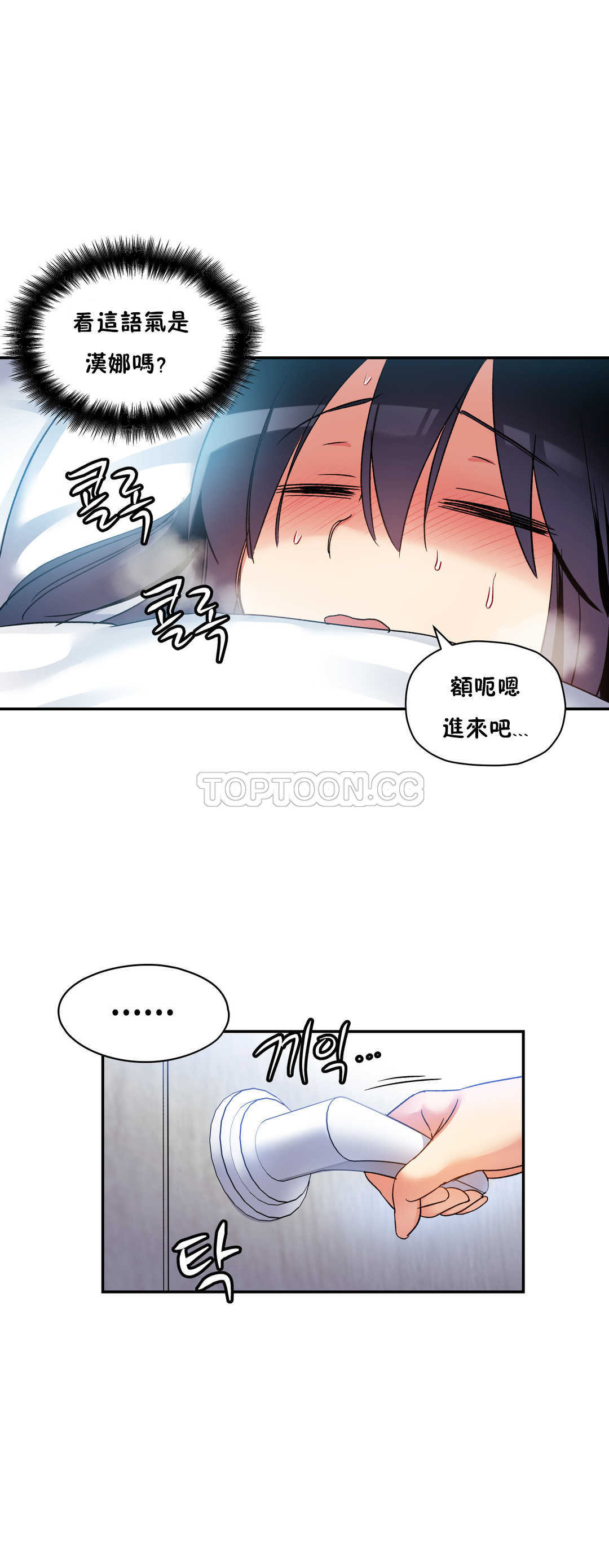 初恋豚鼠