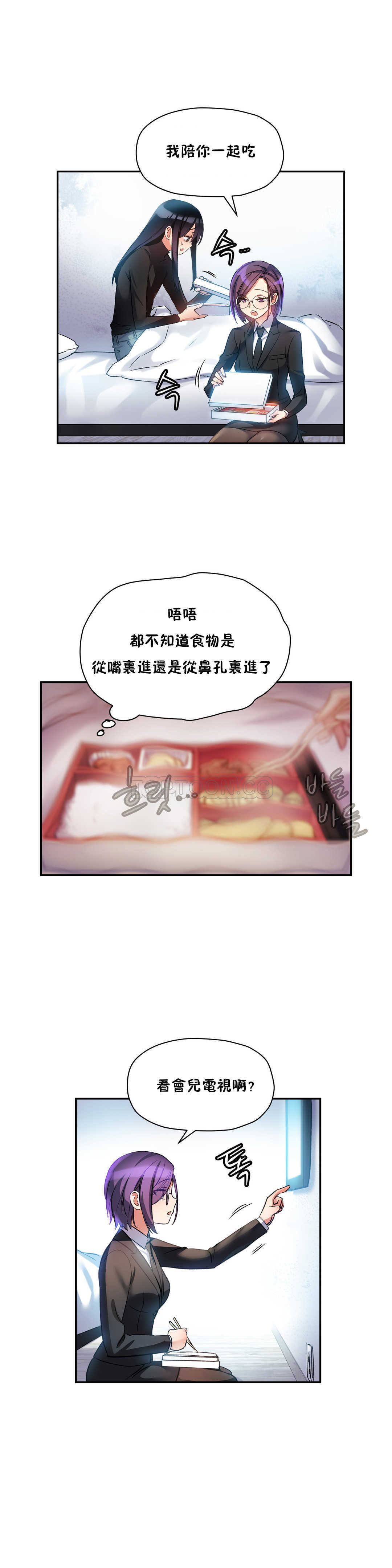 初恋豚鼠