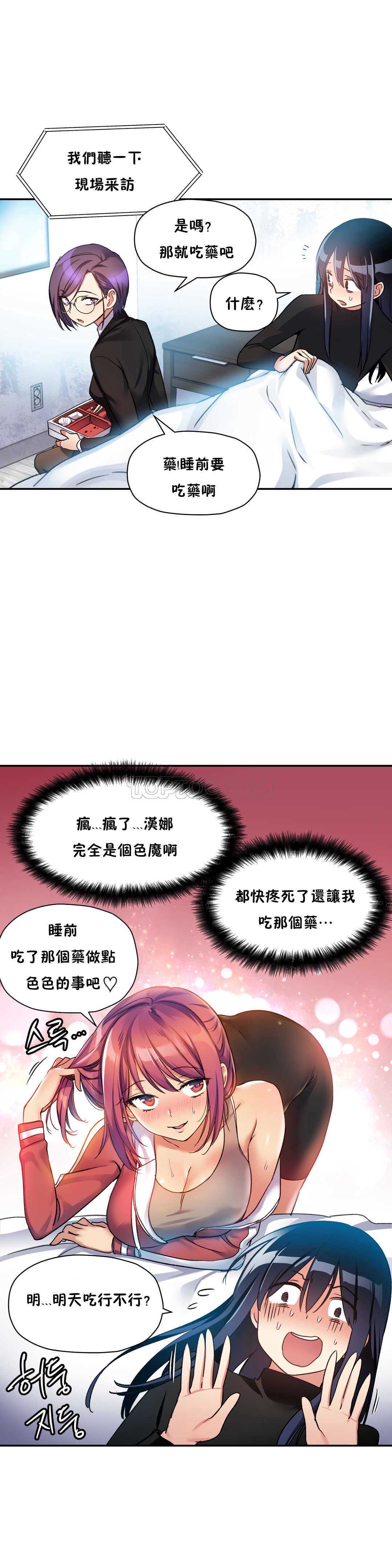 初恋豚鼠