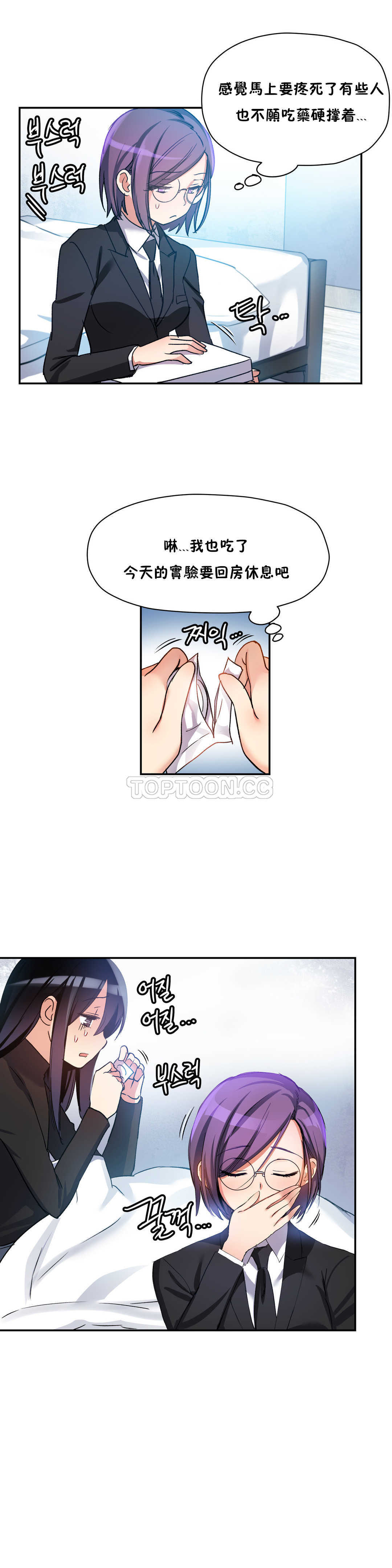 初恋豚鼠