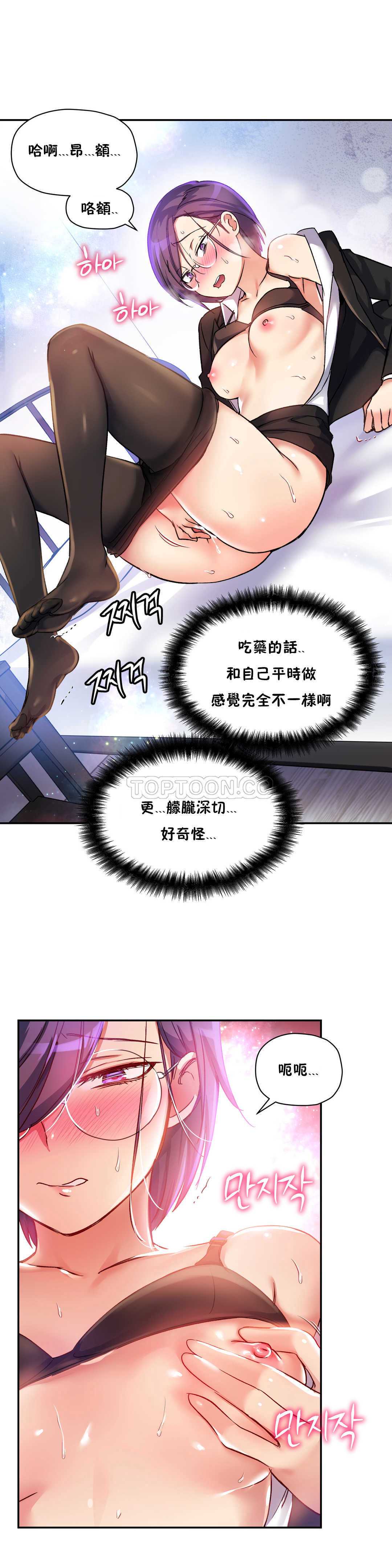 初恋豚鼠