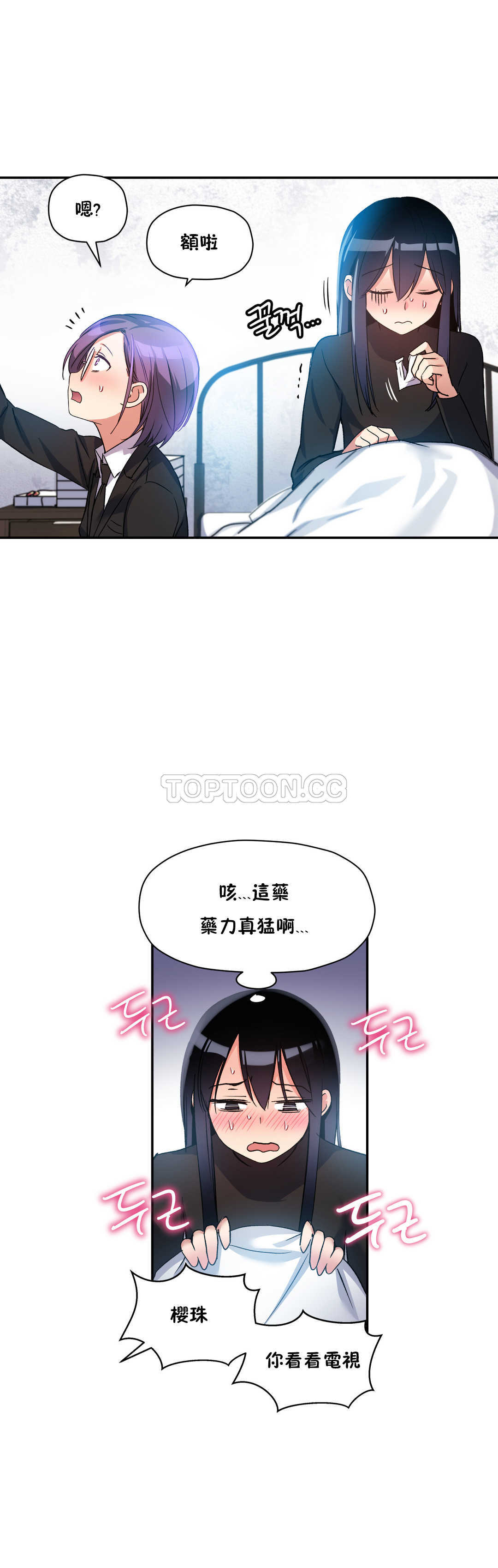 初恋豚鼠