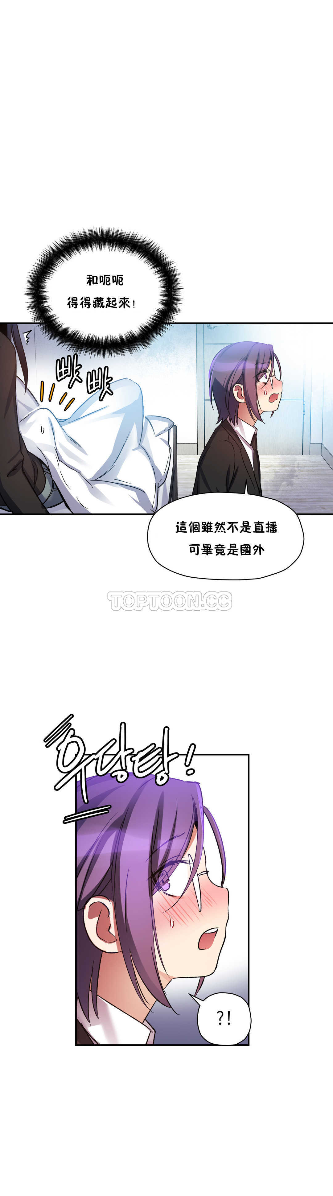 初恋豚鼠