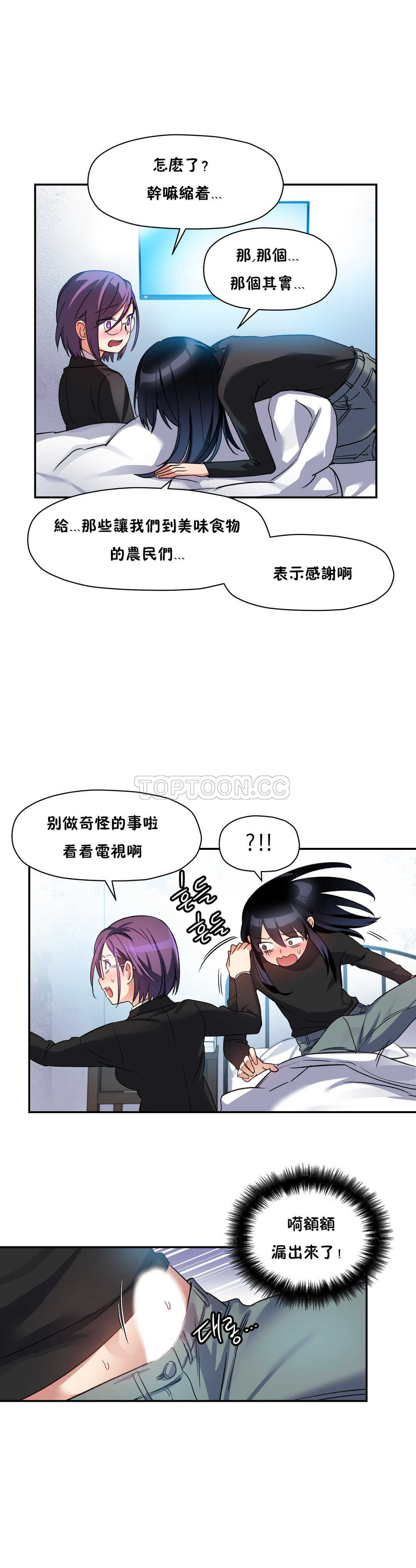 初恋豚鼠