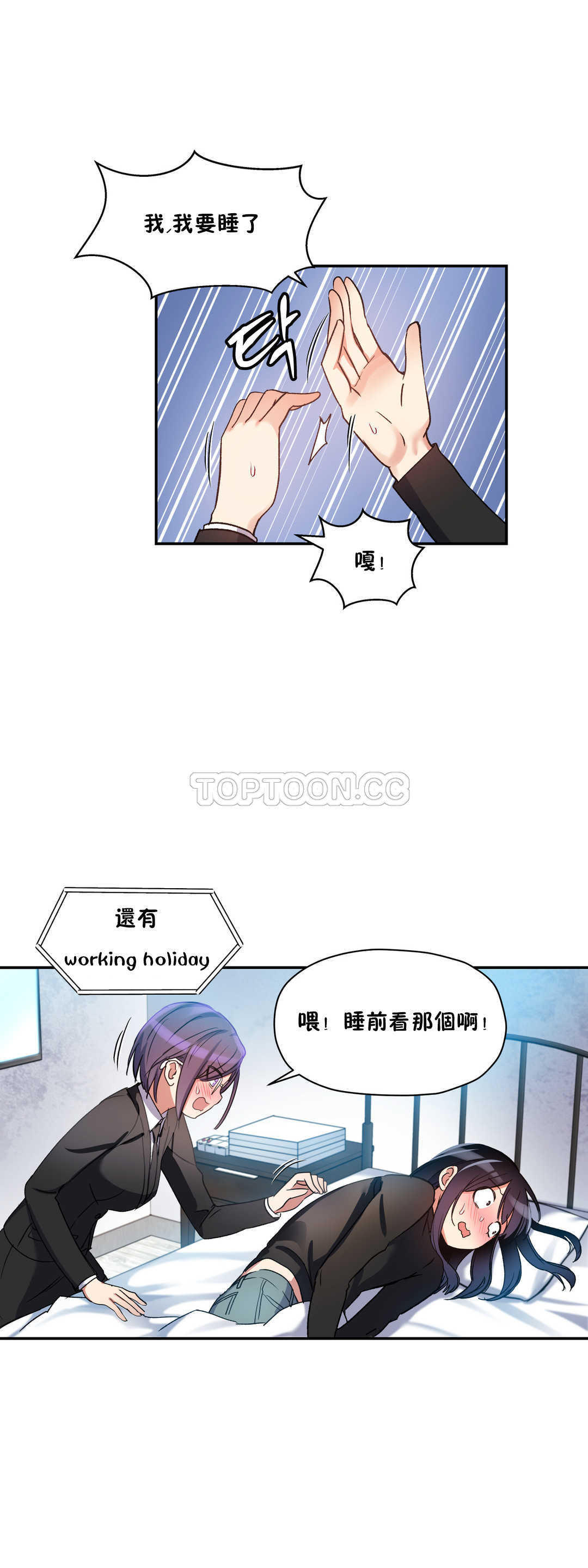 初恋豚鼠