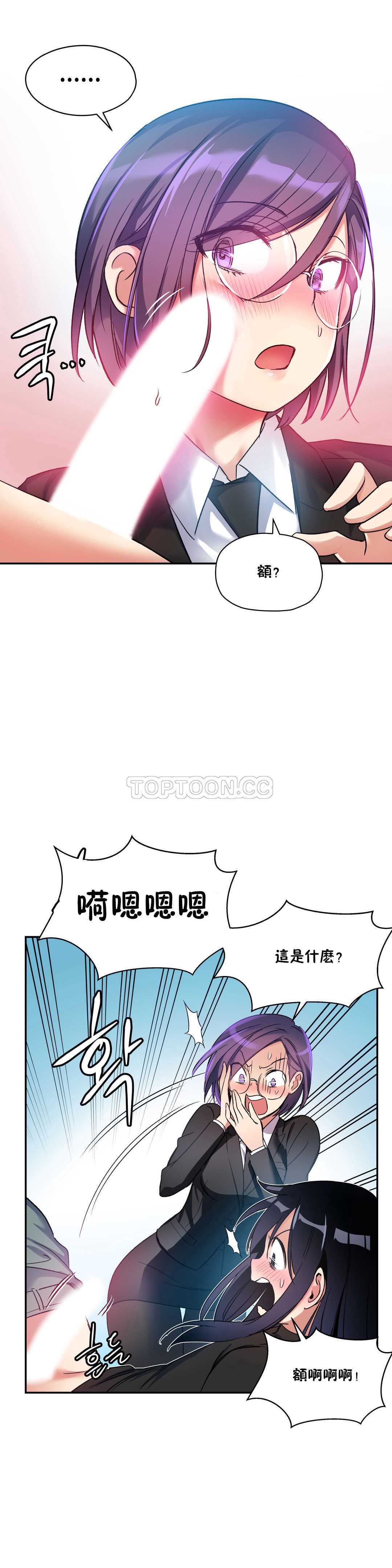 初恋豚鼠