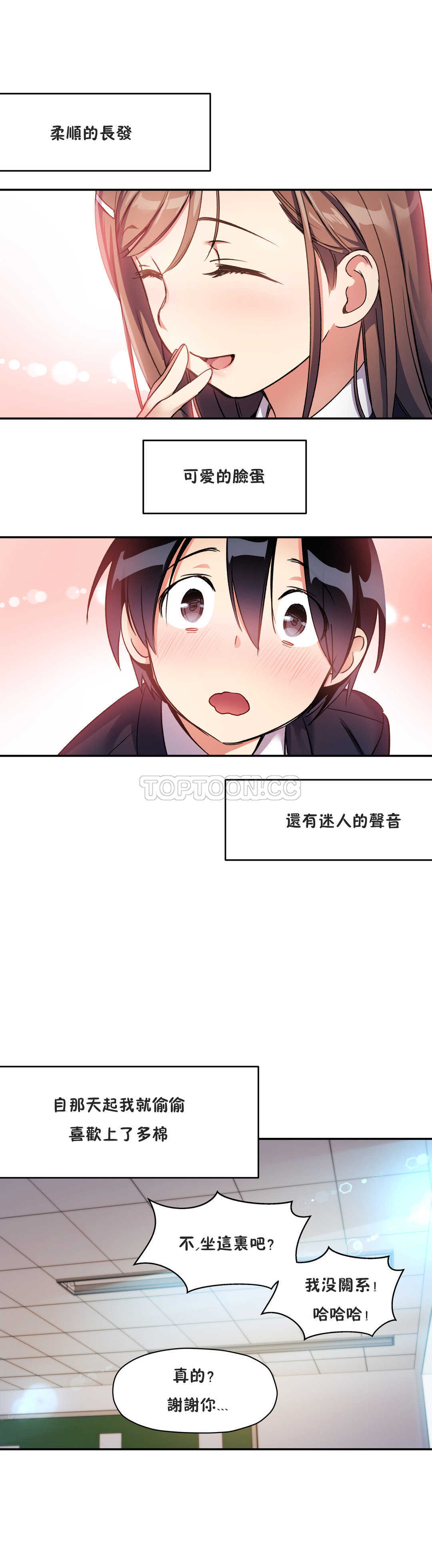 初恋豚鼠