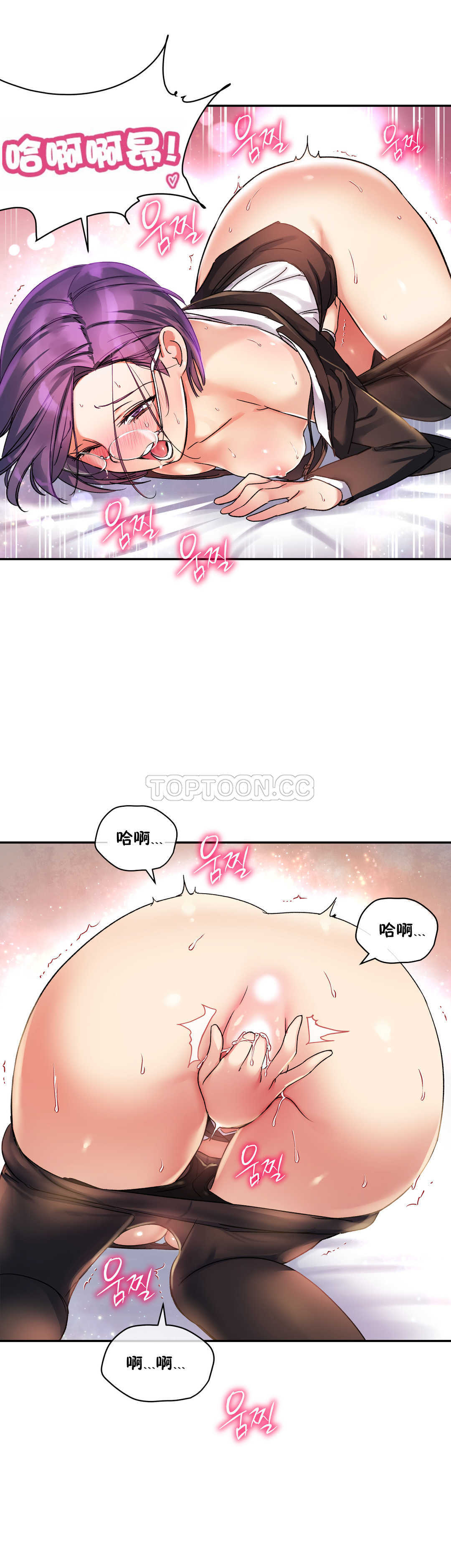 初恋豚鼠