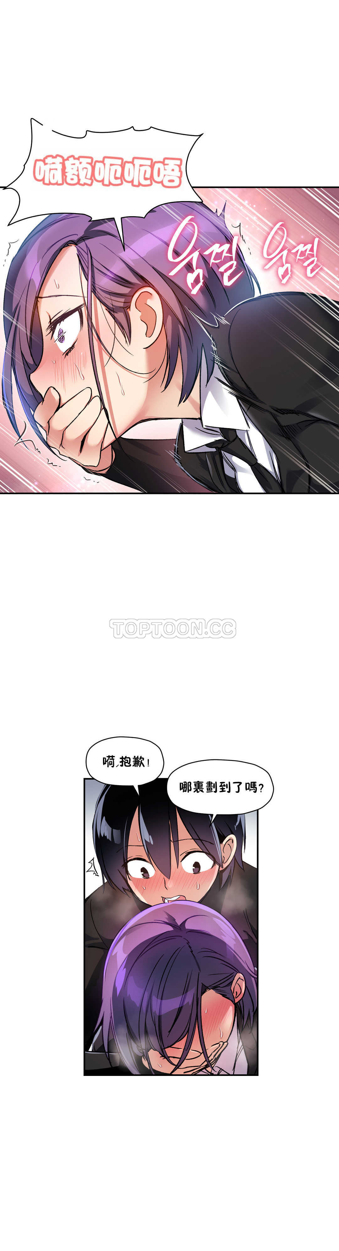初恋豚鼠