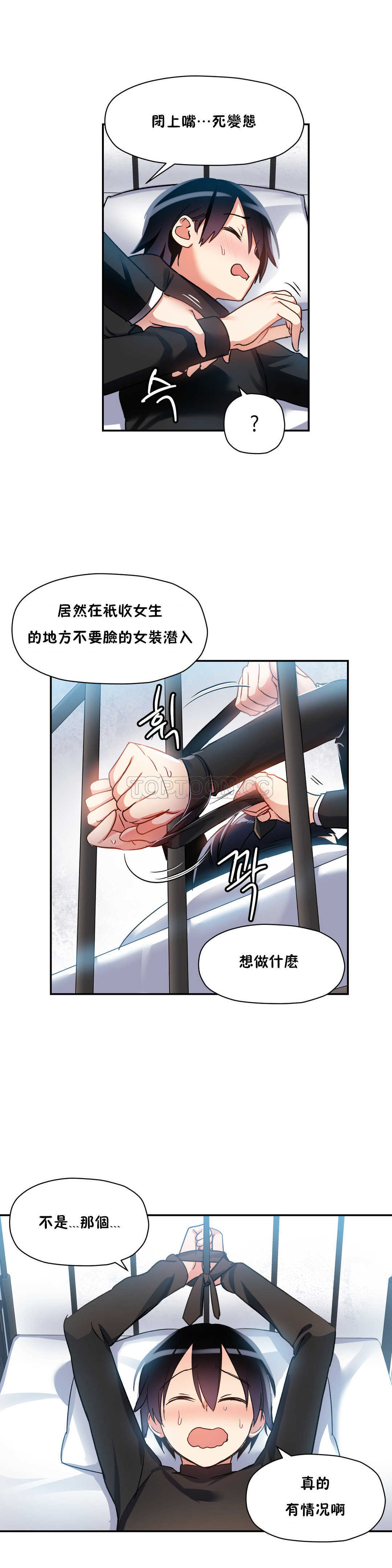 初恋豚鼠