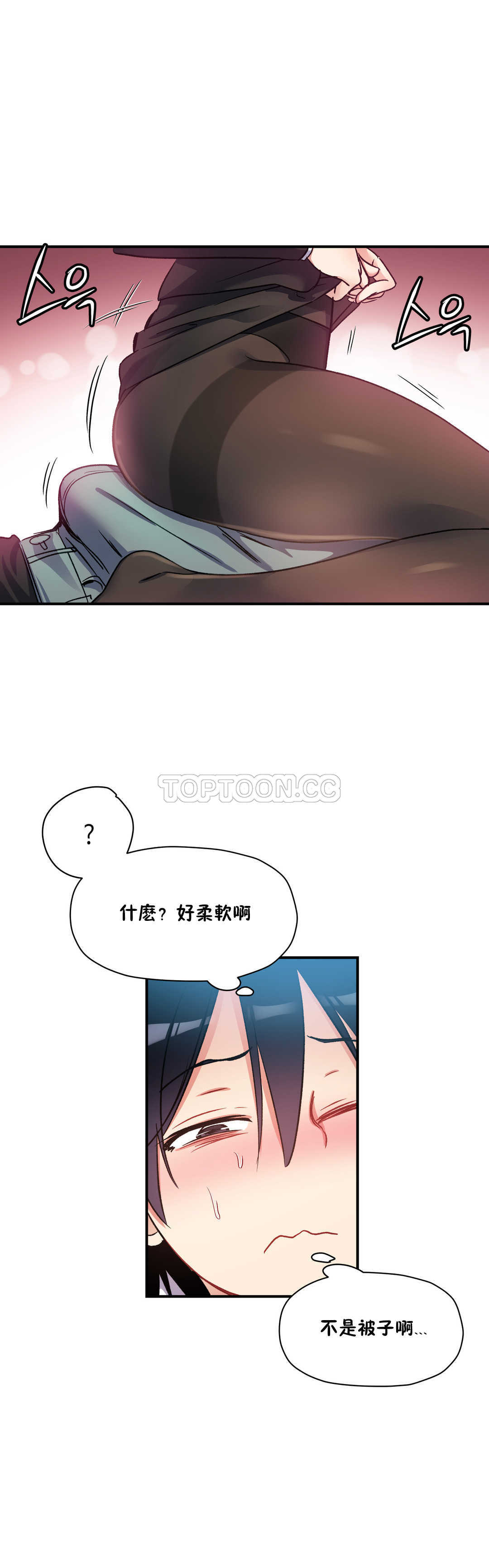 初恋豚鼠