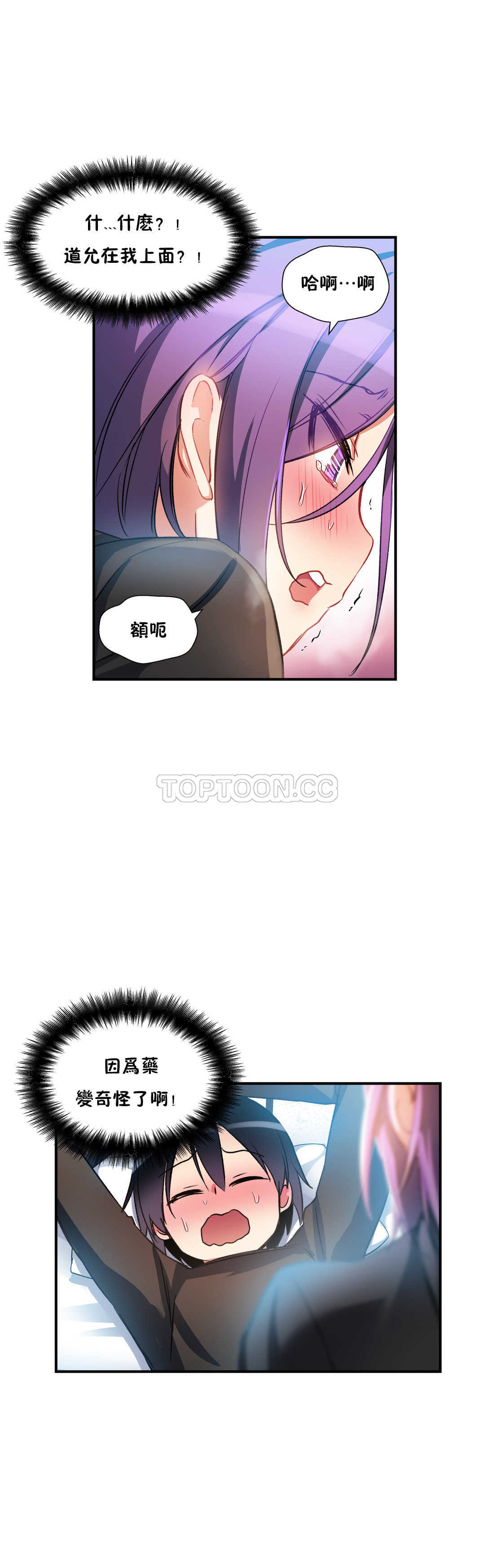 初恋豚鼠
