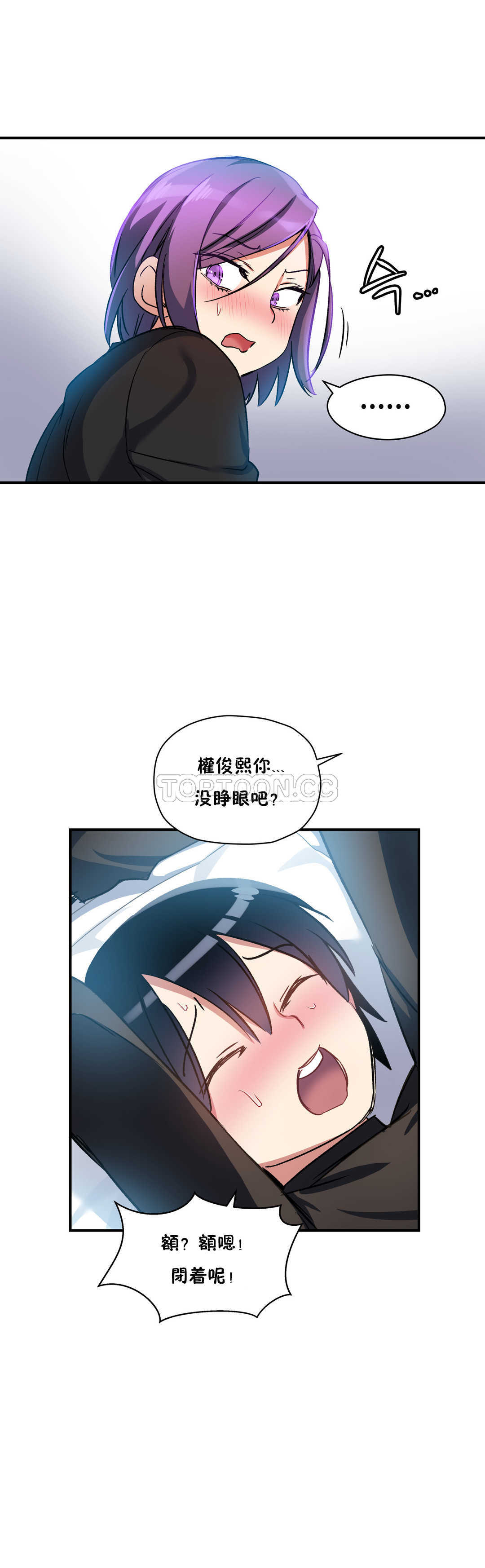 初恋豚鼠