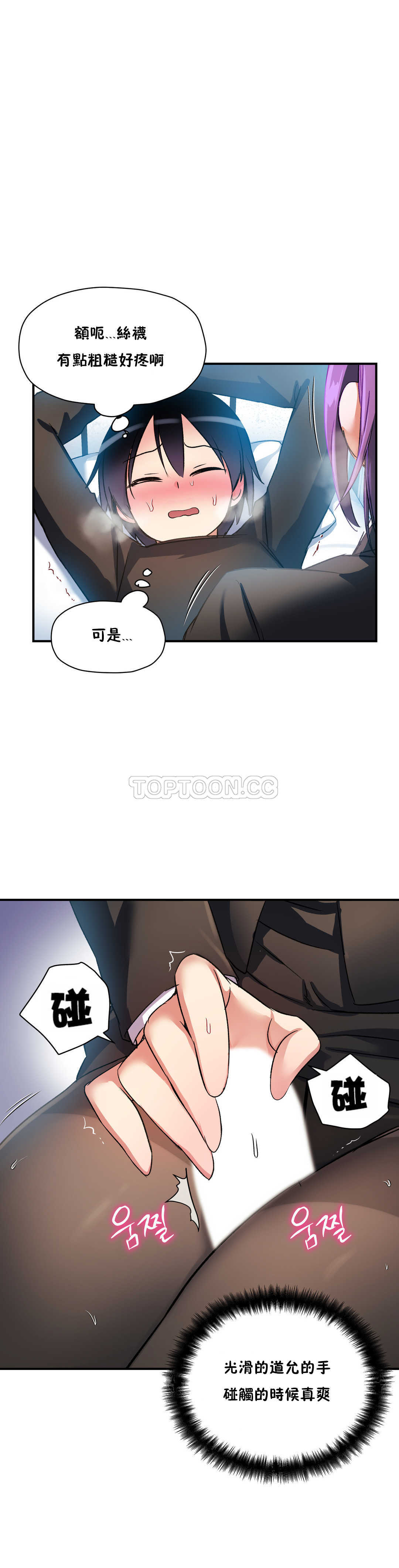 初恋豚鼠