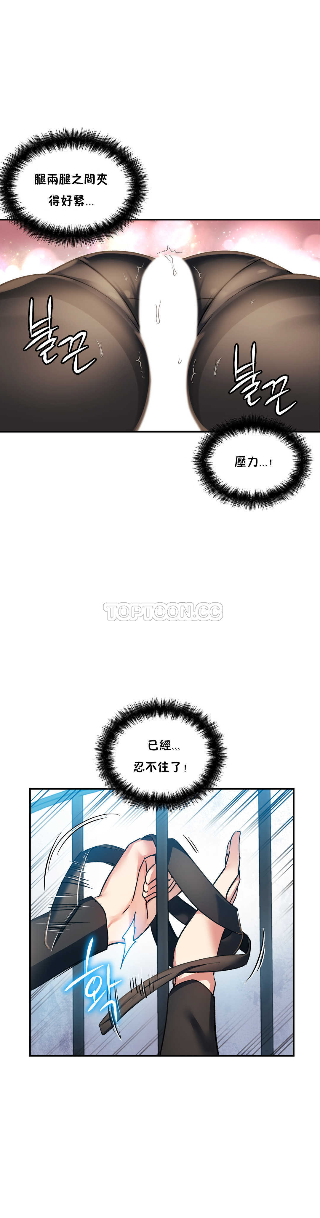 初恋豚鼠