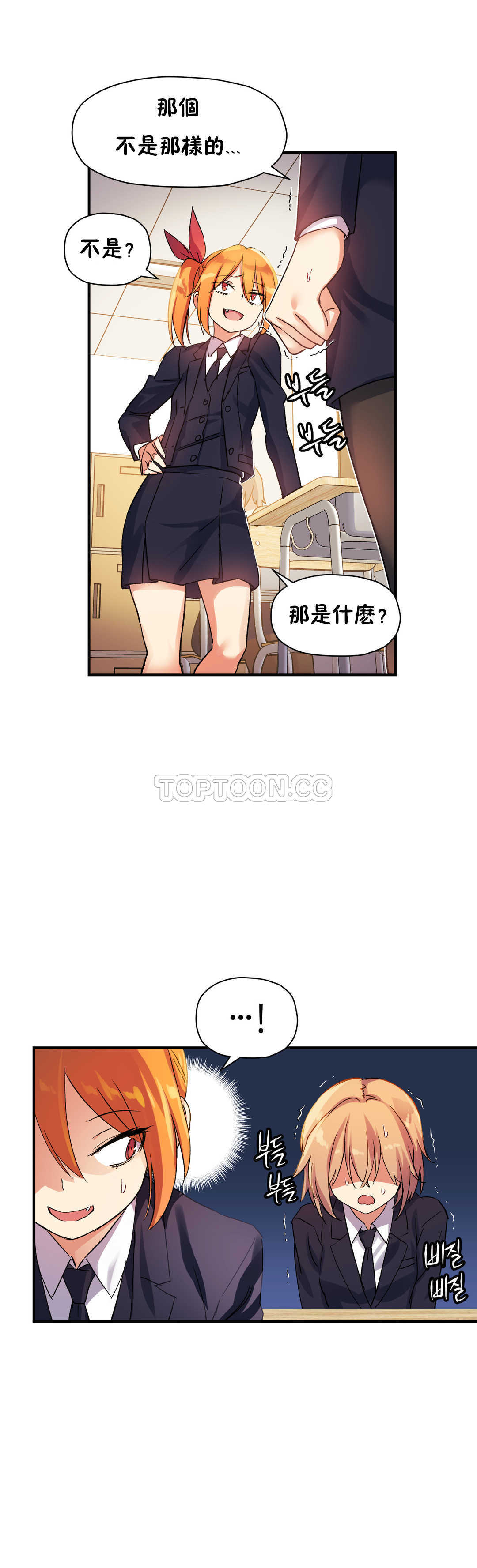 初恋豚鼠