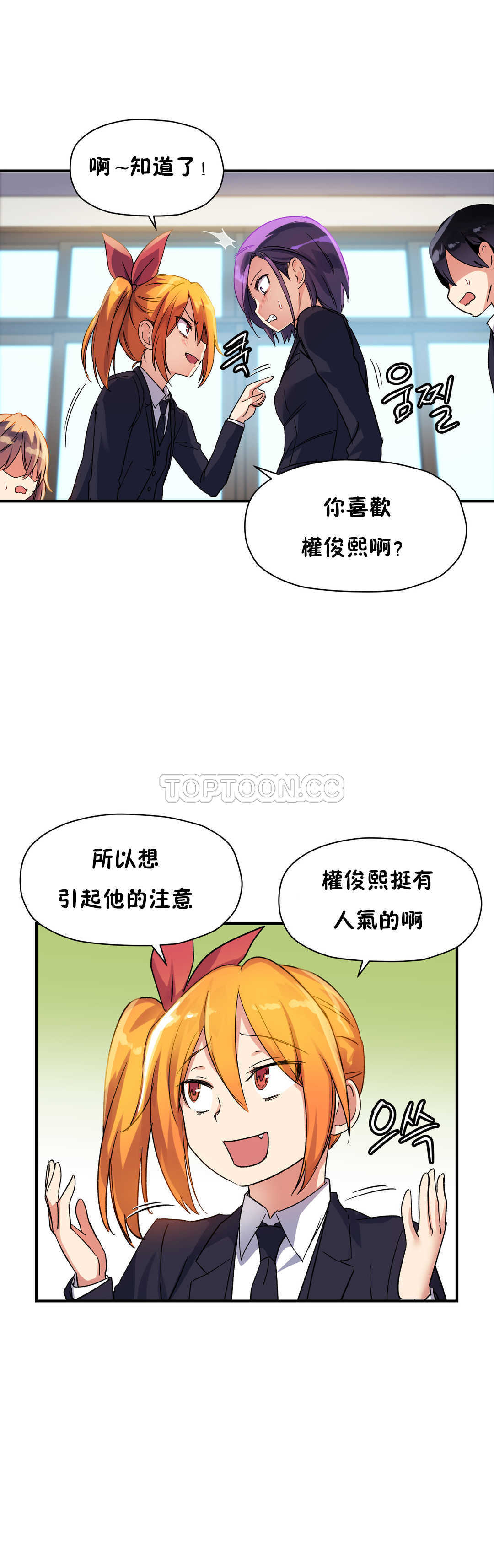 初恋豚鼠