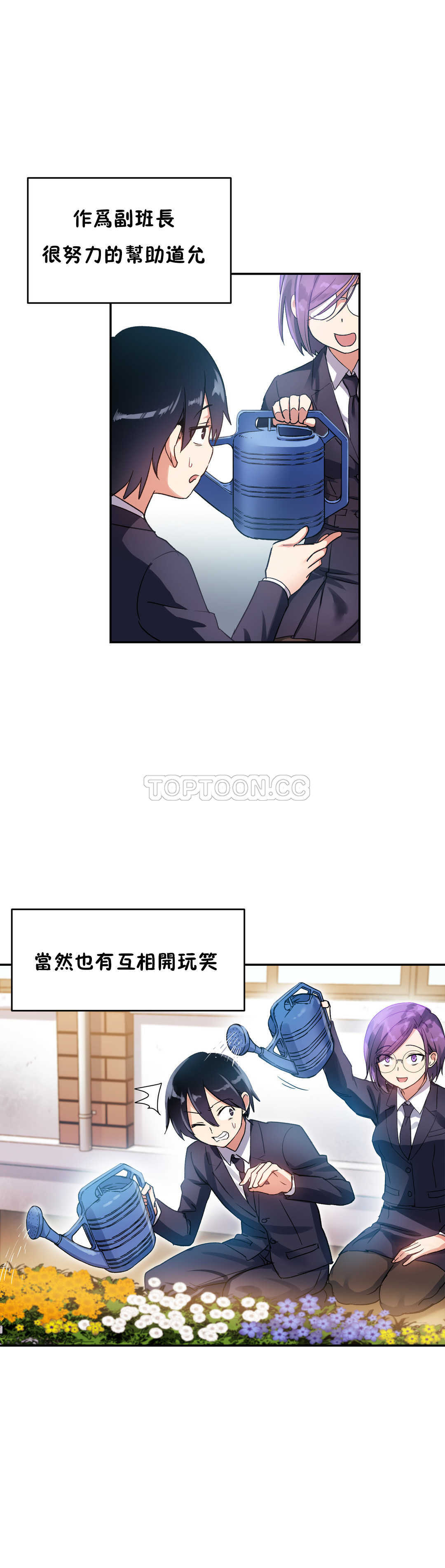 初恋豚鼠