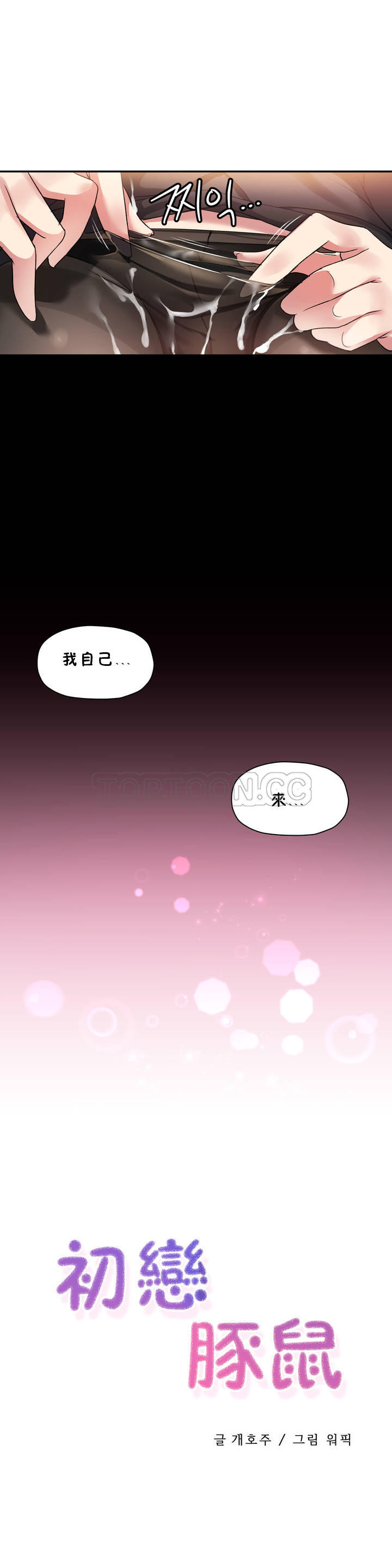 初恋豚鼠