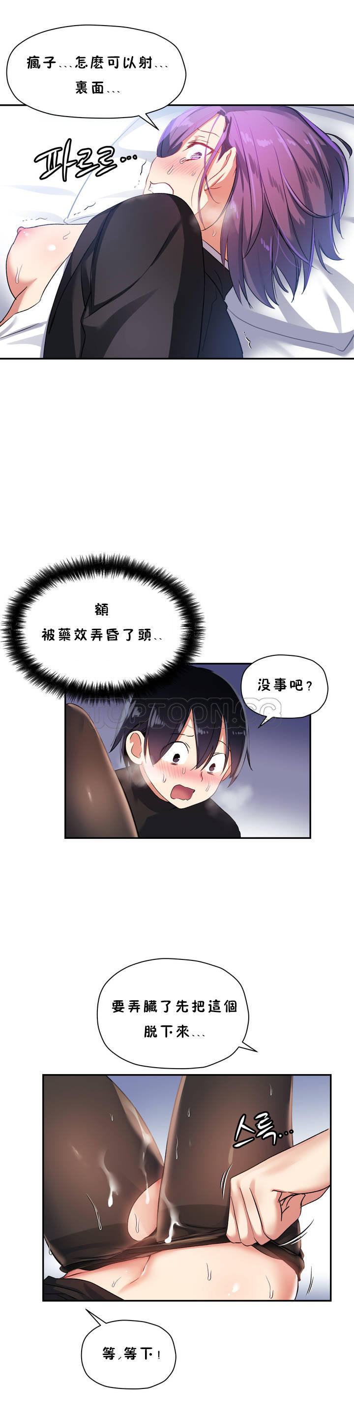 初恋豚鼠