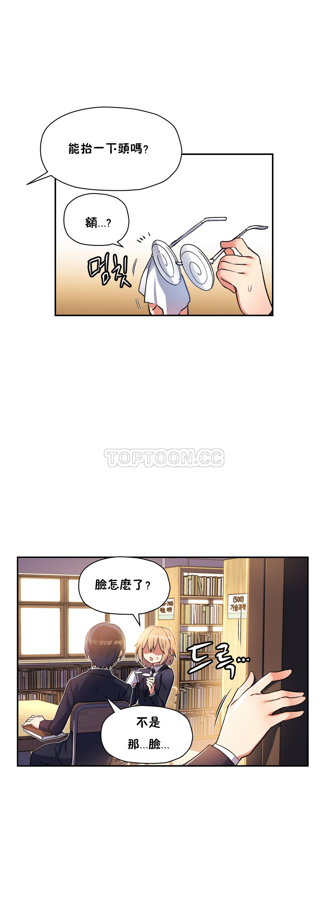 初恋豚鼠