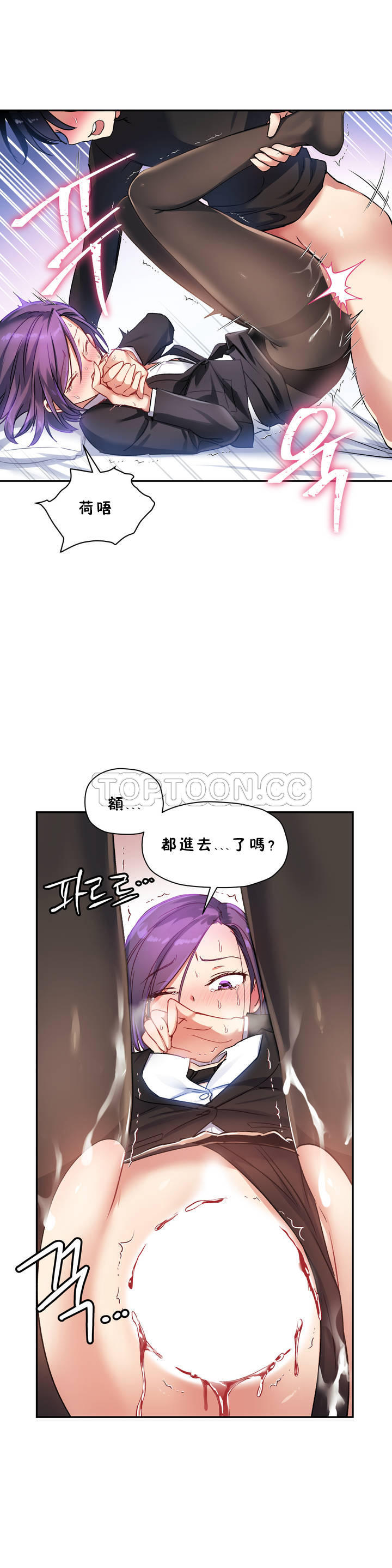 初恋豚鼠