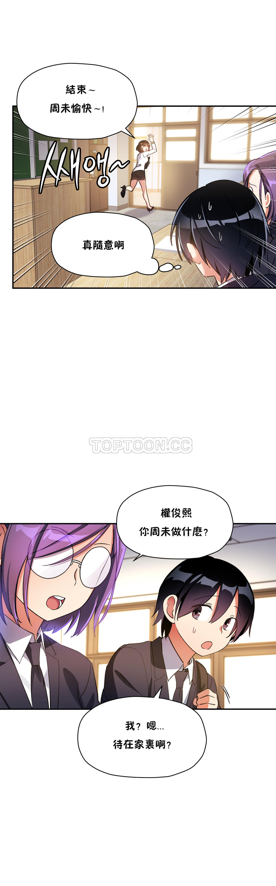 初恋豚鼠
