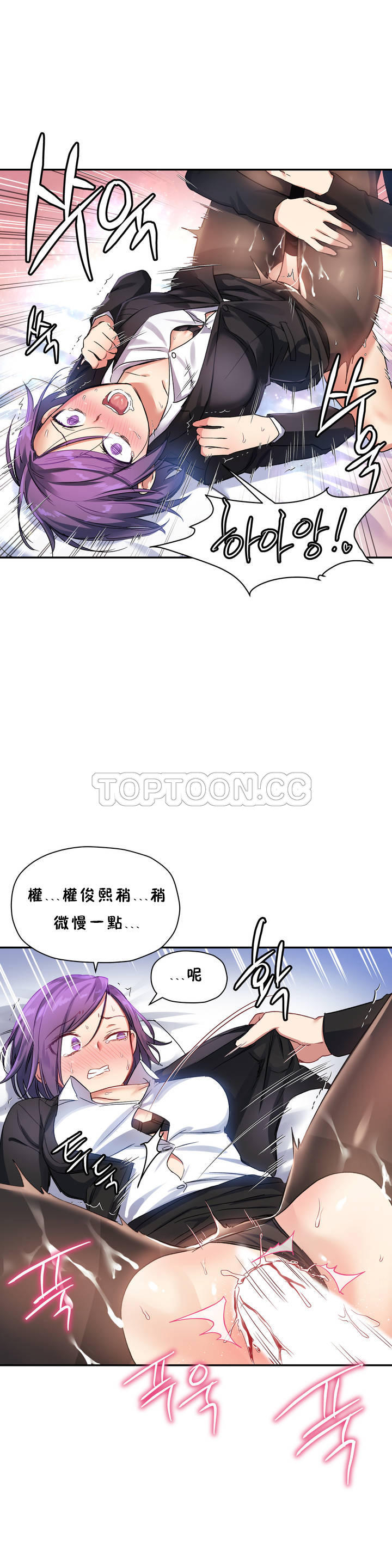初恋豚鼠
