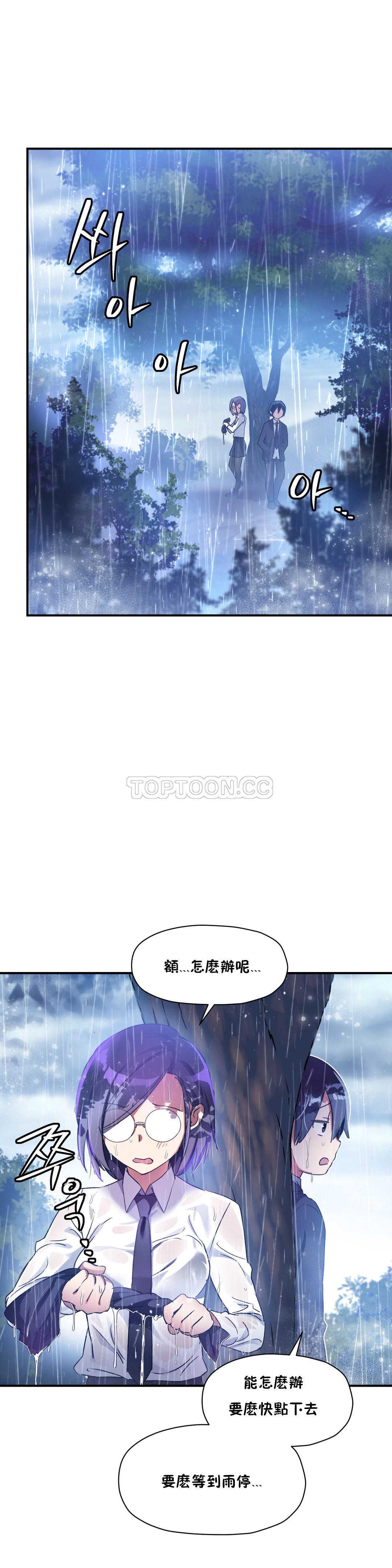 初恋豚鼠