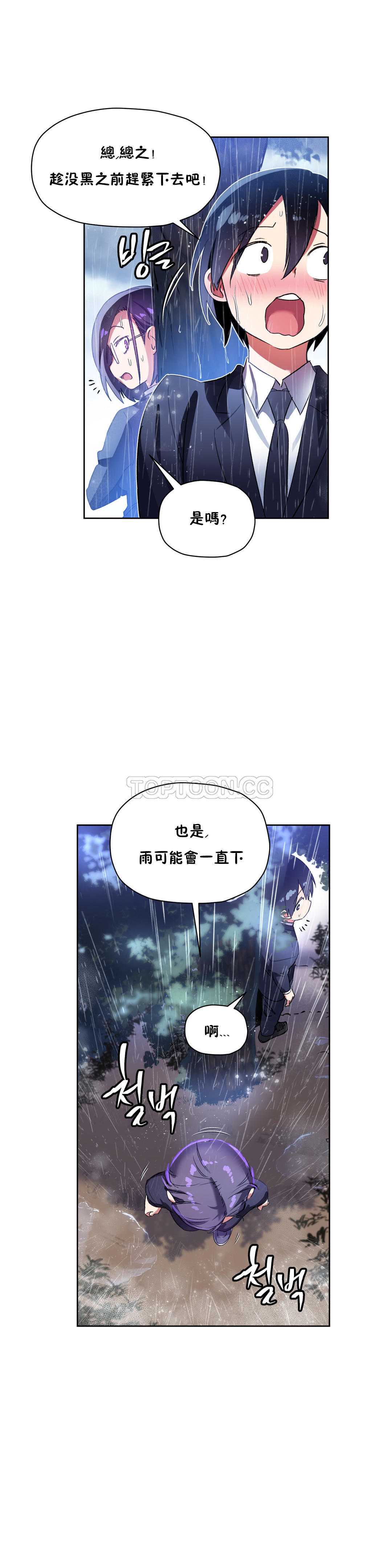 初恋豚鼠