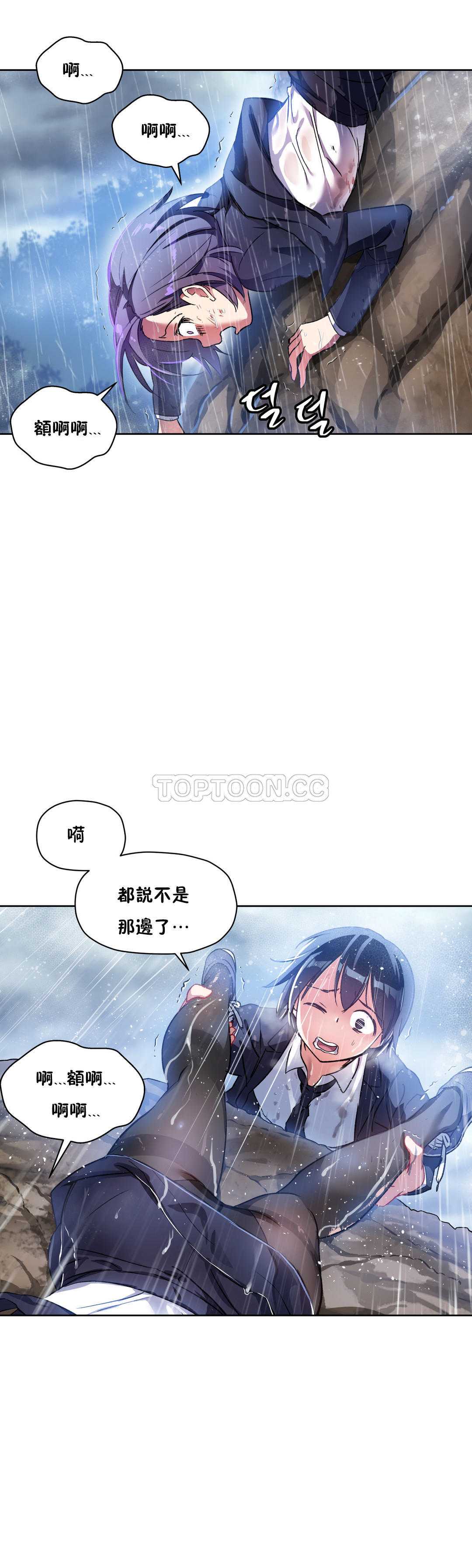 初恋豚鼠
