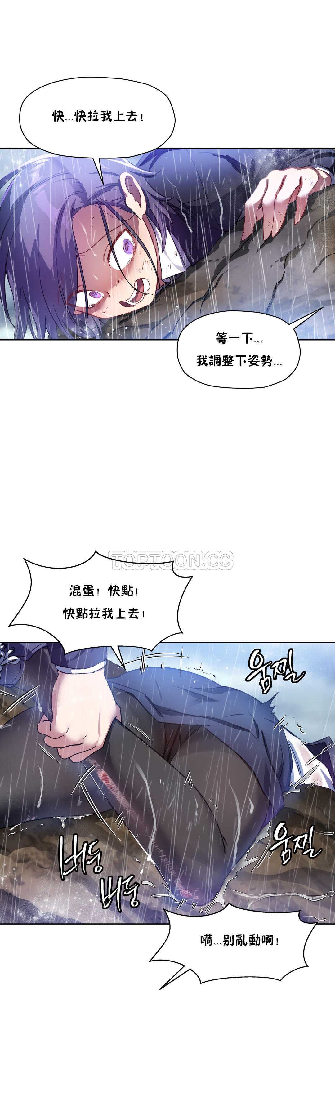 初恋豚鼠