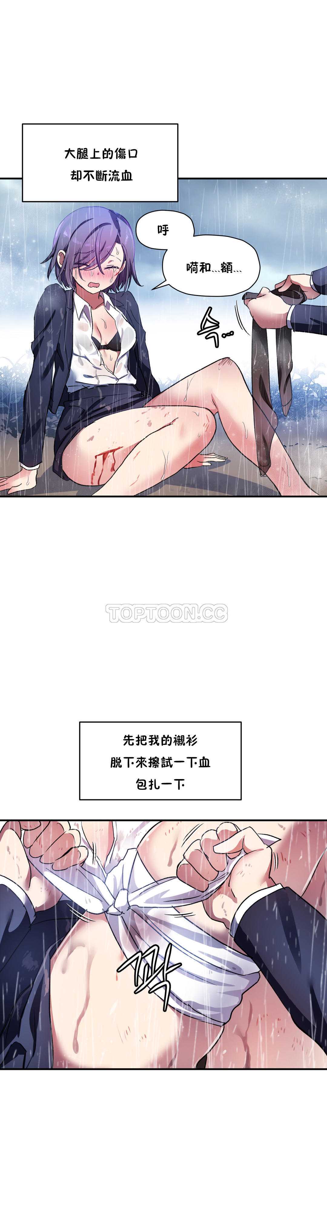 初恋豚鼠